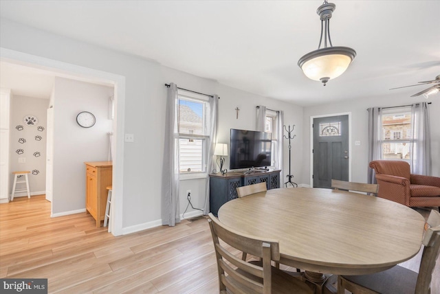 dining area featuring ceiling fan and light hardwood / wood-style floors