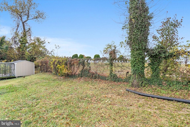 view of yard with a shed