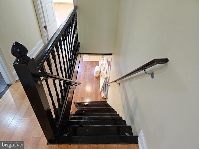 staircase featuring hardwood / wood-style flooring