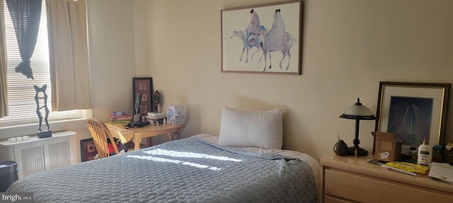 bedroom with radiator and multiple windows