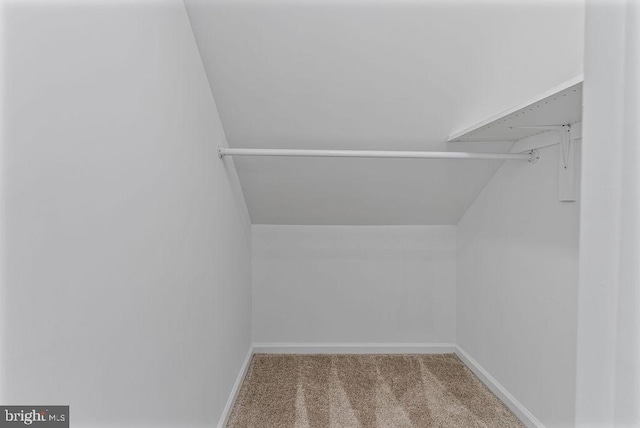 spacious closet with carpet and lofted ceiling