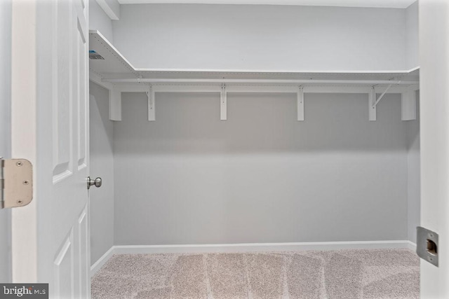 spacious closet featuring carpet floors