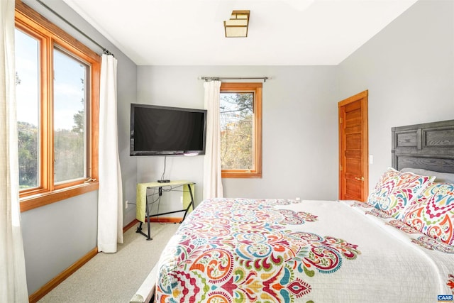 bedroom featuring carpet flooring