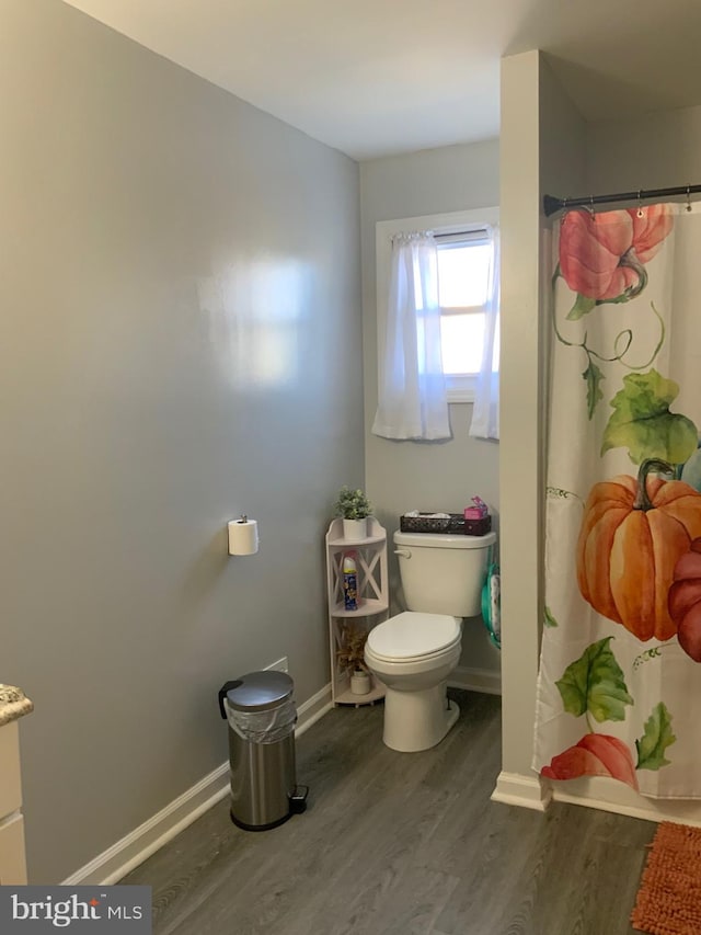 bathroom with vanity, hardwood / wood-style flooring, toilet, and curtained shower