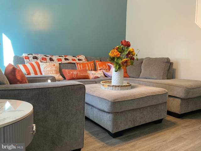 living room with wood-type flooring