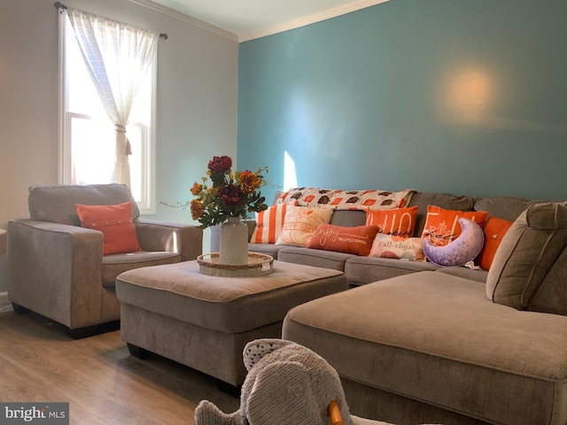 living room with hardwood / wood-style flooring and crown molding