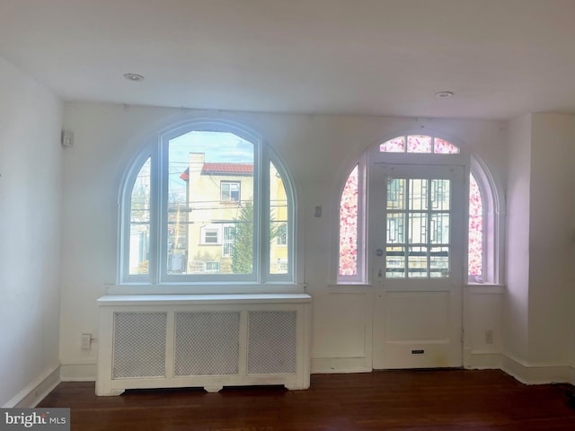 entrance foyer with radiator heating unit, dark wood-type flooring, and plenty of natural light