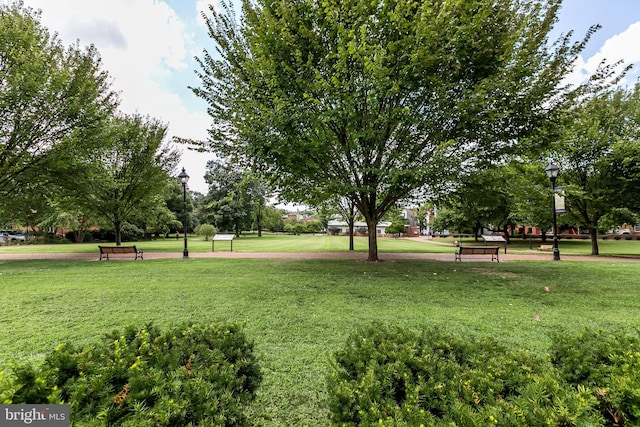 view of property's community featuring a lawn