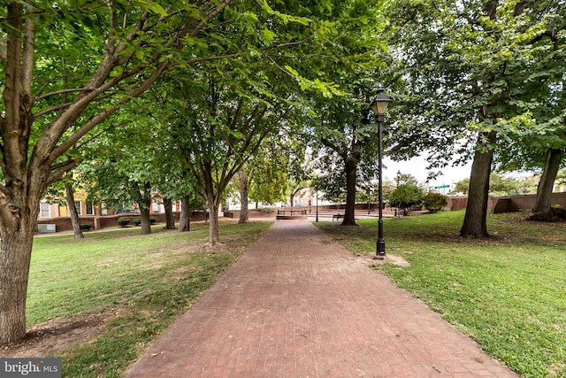 view of property's community with a yard