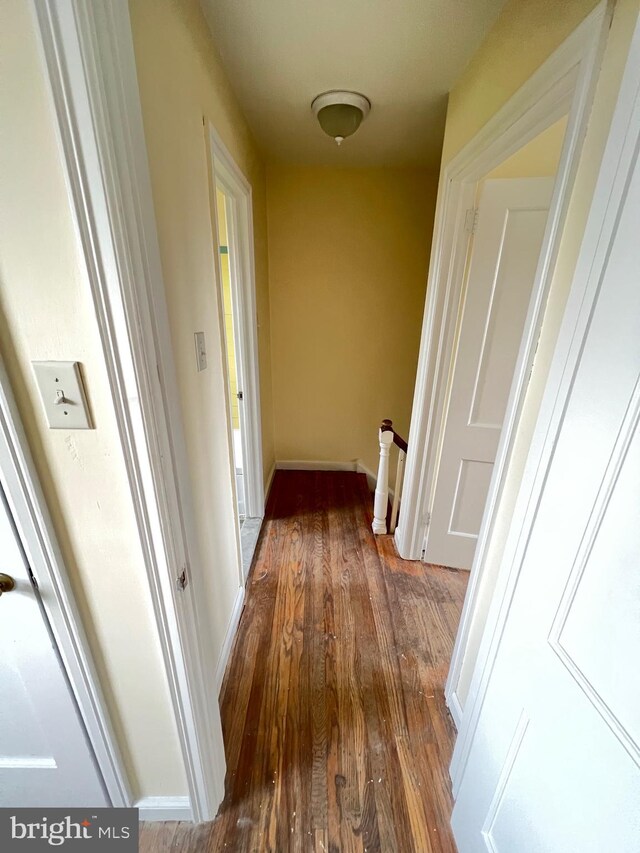 corridor featuring dark hardwood / wood-style flooring