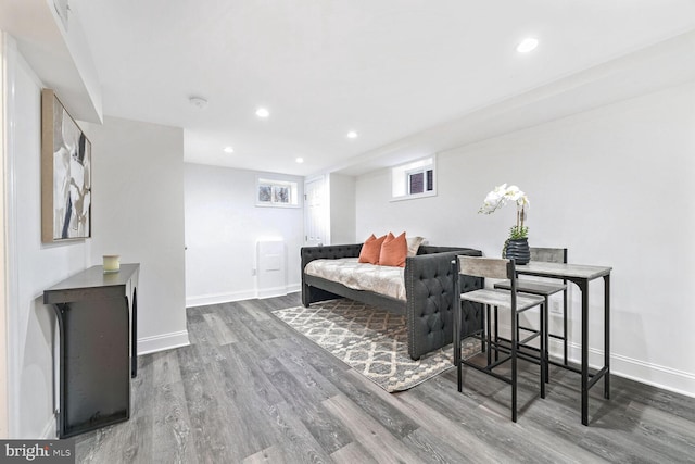 living room featuring wood-type flooring