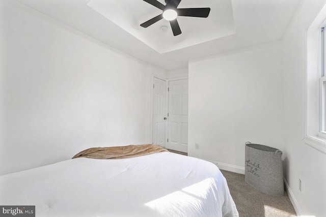 bedroom featuring carpet flooring, ceiling fan, and a tray ceiling