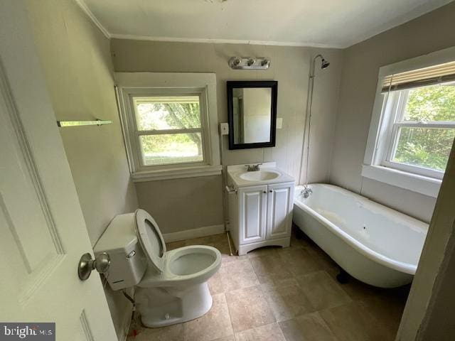 bathroom featuring a bath, vanity, a healthy amount of sunlight, and toilet