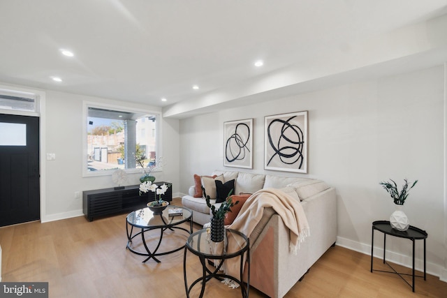 living room with light wood-type flooring