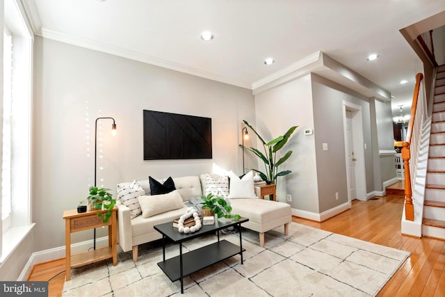 living room featuring crown molding and light hardwood / wood-style flooring