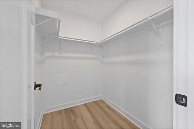 spacious closet featuring hardwood / wood-style flooring