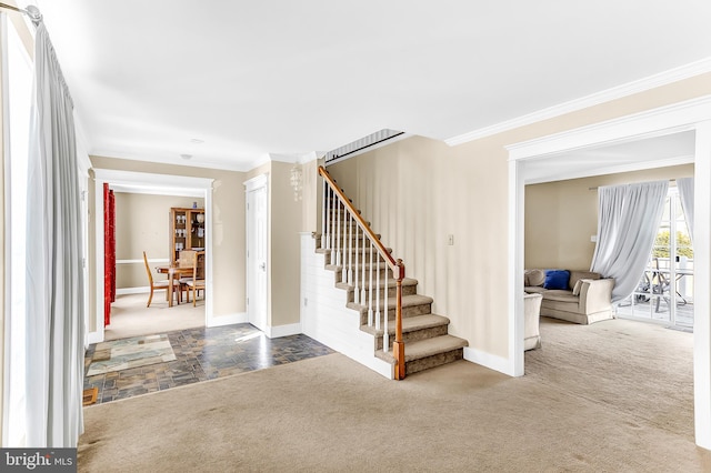 entrance foyer with crown molding and carpet floors