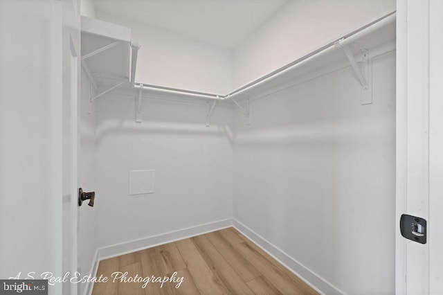 spacious closet with wood-type flooring