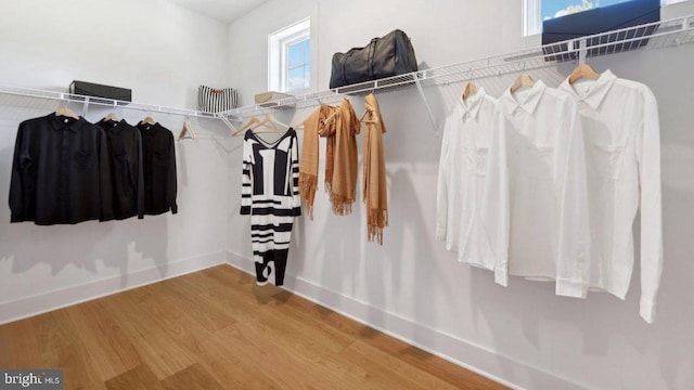 walk in closet with hardwood / wood-style floors