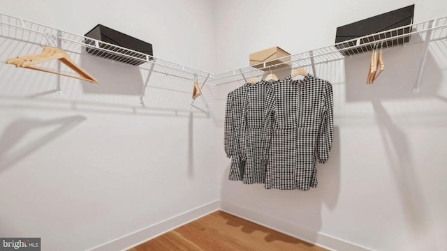 spacious closet with wood-type flooring