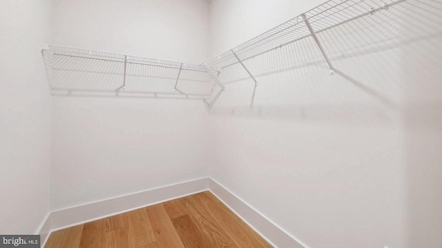 walk in closet featuring hardwood / wood-style flooring