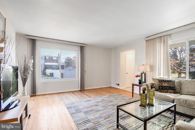 living room with light wood-type flooring