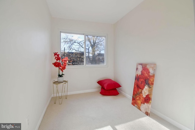 sitting room with carpet