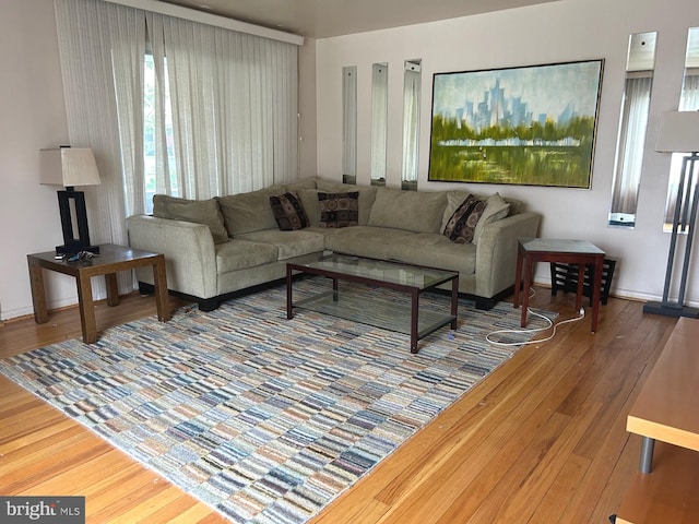 living room with wood-type flooring