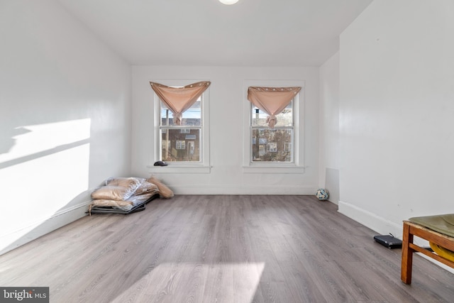 spare room featuring light hardwood / wood-style floors