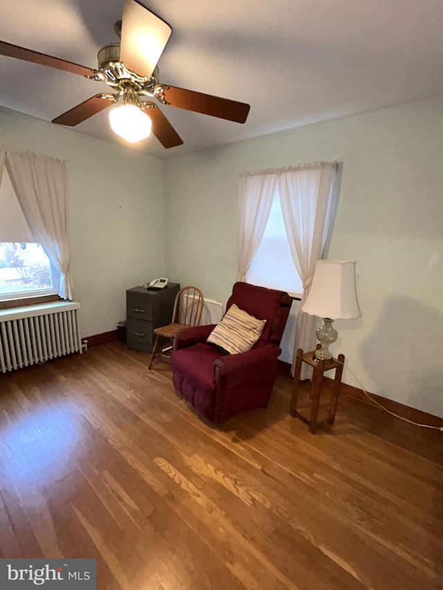 living area featuring hardwood / wood-style floors, ceiling fan, and radiator