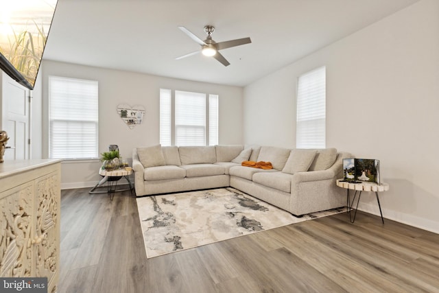 living room featuring hardwood / wood-style floors and ceiling fan