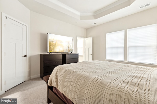 carpeted bedroom featuring a raised ceiling