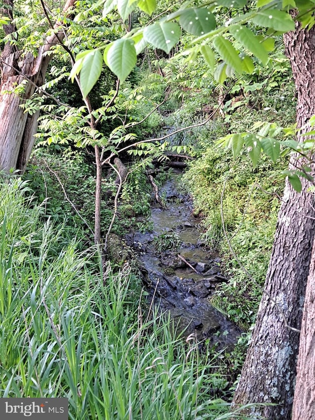 view of landscape featuring a water view