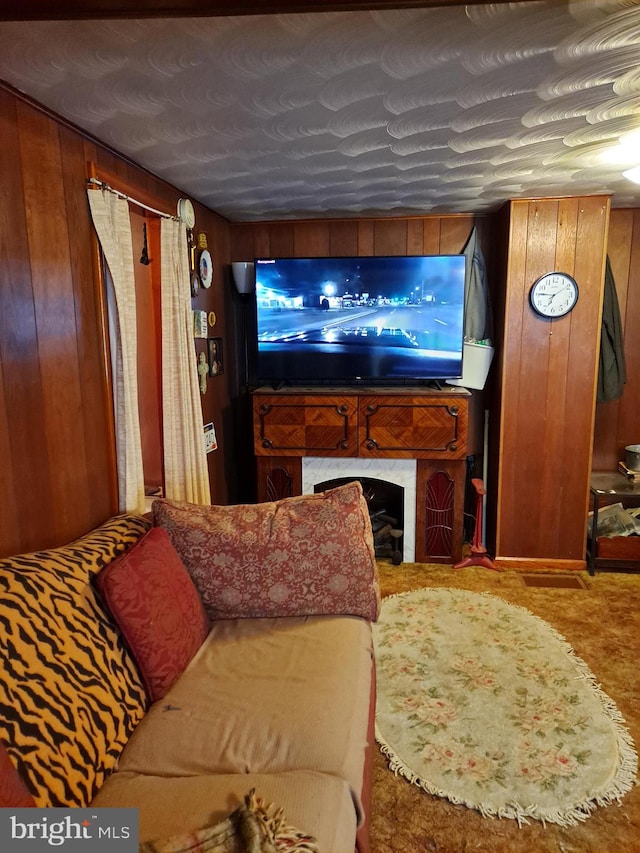 cinema room with wood walls