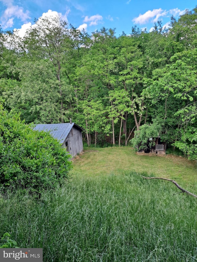 view of yard with an outdoor structure