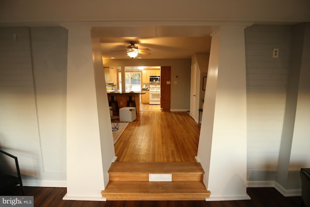 hallway with hardwood / wood-style floors