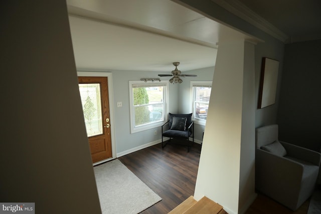 entryway with ceiling fan, dark wood-type flooring, vaulted ceiling, and ornamental molding