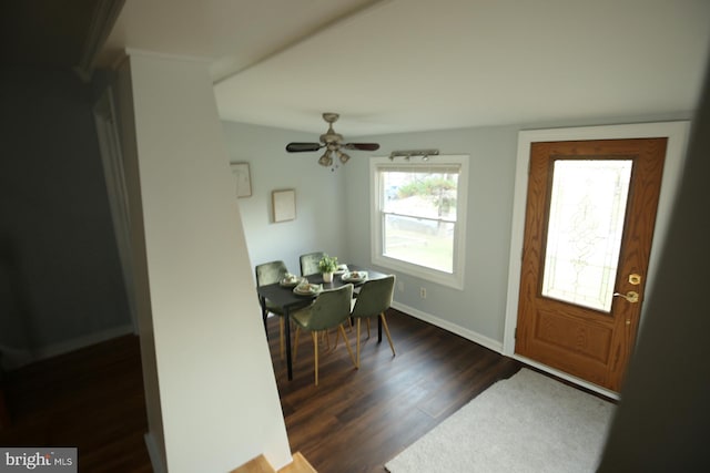 foyer with dark hardwood / wood-style floors and ceiling fan