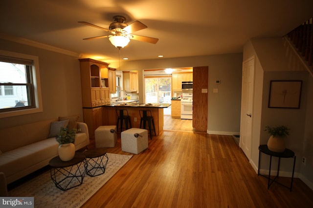 living room with ceiling fan, sink, ornamental molding, and hardwood / wood-style flooring