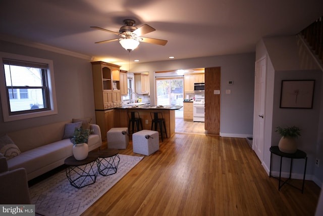 living room with hardwood / wood-style floors, plenty of natural light, ceiling fan, and ornamental molding