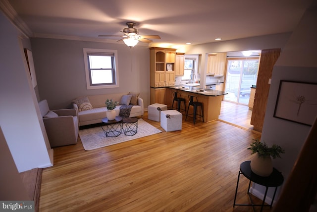 living room with ceiling fan, crown molding, sink, and light wood-type flooring