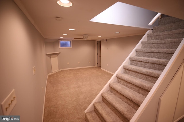 basement with carpet flooring