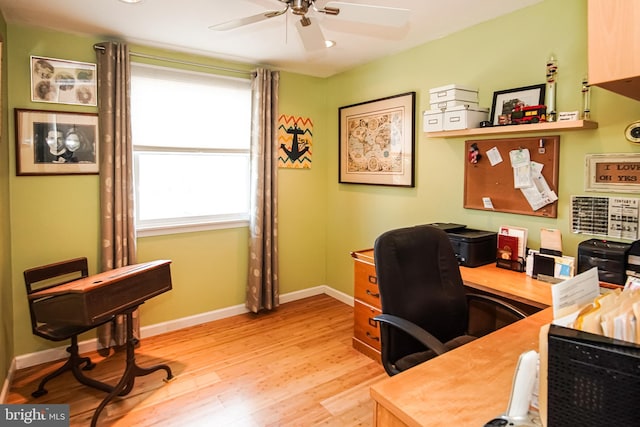 office space featuring ceiling fan and light hardwood / wood-style floors