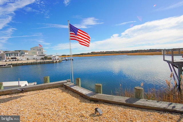 dock area with a water view