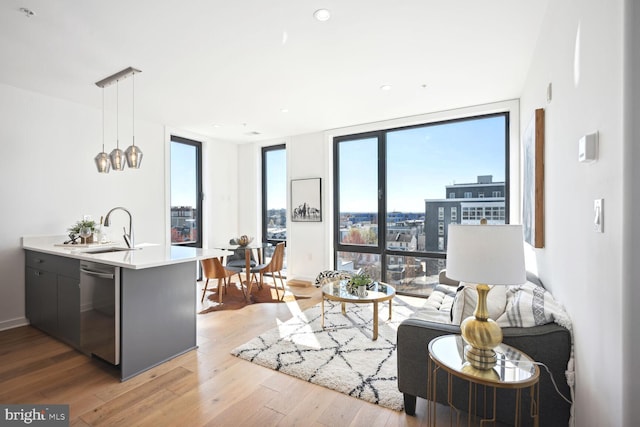 living room featuring plenty of natural light, light hardwood / wood-style floors, and sink