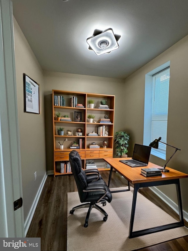 office space with dark hardwood / wood-style flooring