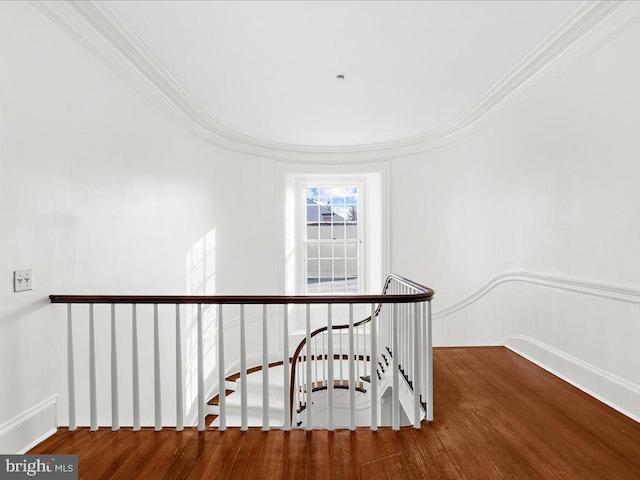 hallway with wood-type flooring and ornamental molding