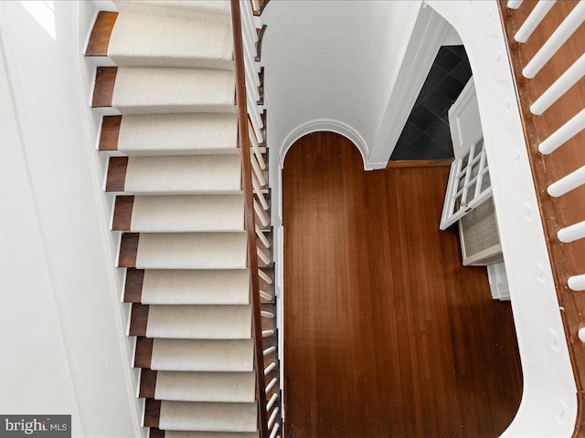 staircase featuring wood-type flooring