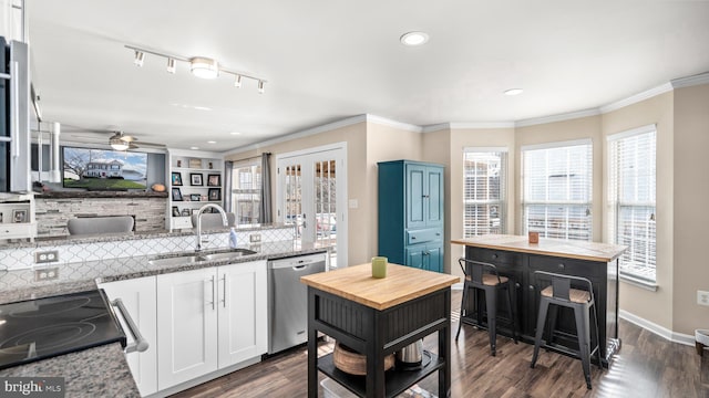 kitchen featuring dishwasher, a healthy amount of sunlight, white cabinetry, and sink