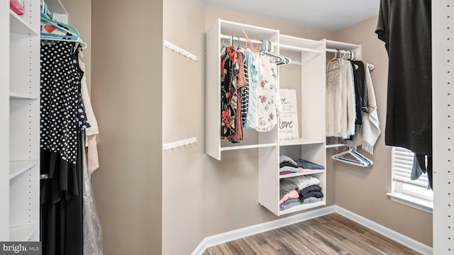 walk in closet featuring wood-type flooring